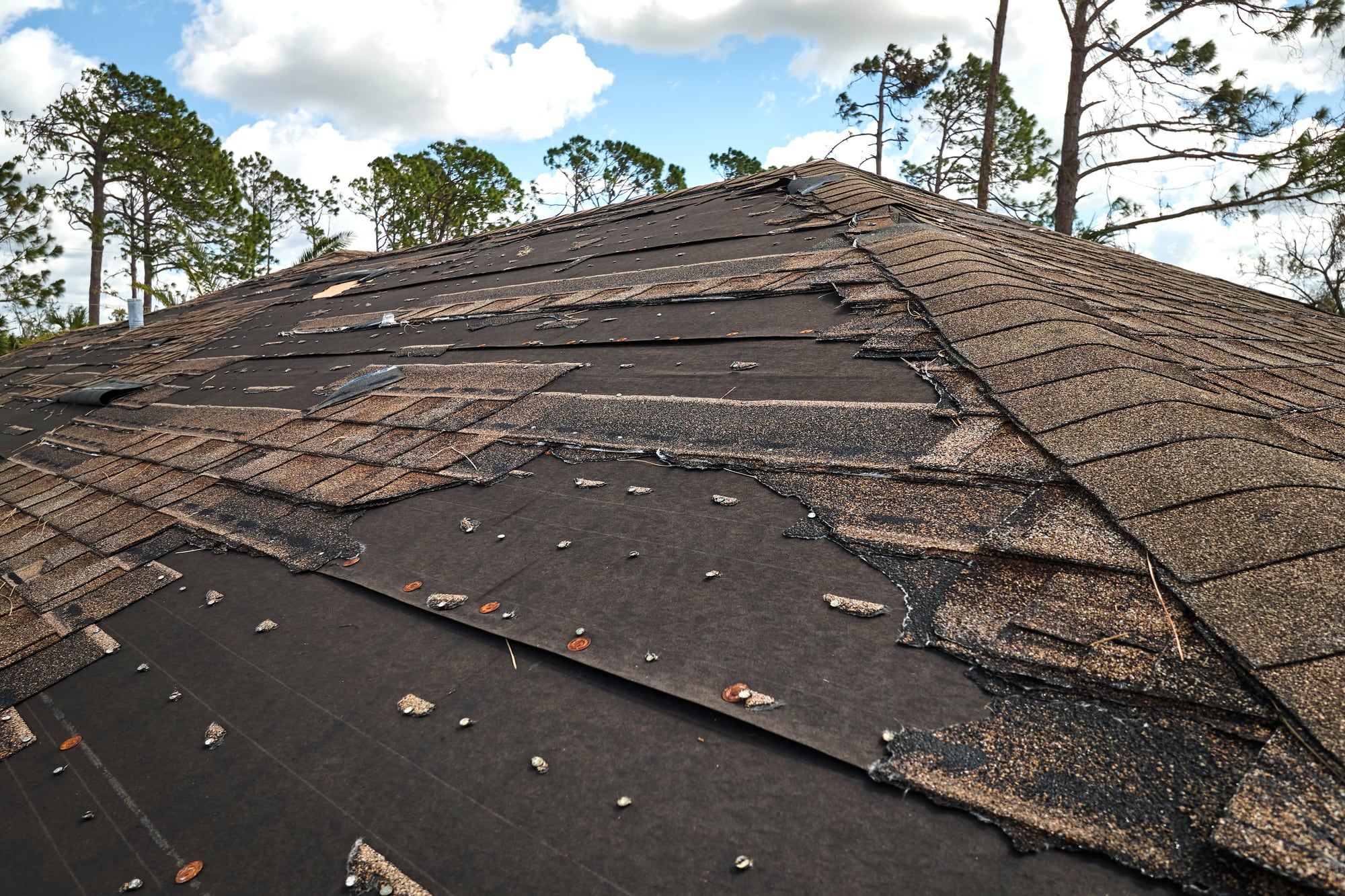 Shingle roof with missing shingles and bare felt after a hurricane
